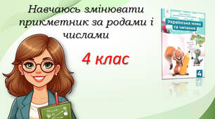 4 клас Рід і число прикметників