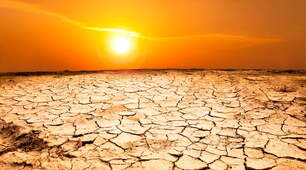 Nature and the Environment. Vocabulary 11 Form
