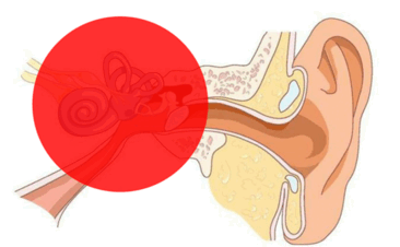 080037pu-1ef4-366x226.png