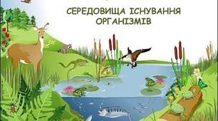 Пристосування організмів до умов середовища