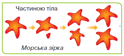 080039ee-74c4-419x192.png