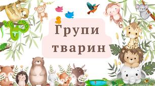 Картки "Групи тварин" для учнів початкових класів.