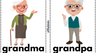 Flashcards Unit 6 "Family" Quick Minds 1