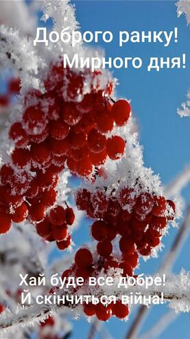 08003cs0-c769-277x492.jpg