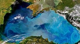 Змагаємось за Чорне море