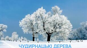 Заняття з образотворчої діяльності «ЧУДИРНАЦЬКІ ДЕРЕВА»