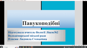 Павукоподібні