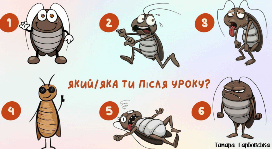08003dzy-0739-940x516.png