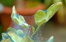 08003eab-1d11-280x180.jpg