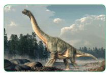 08003ecv-e69b-218x146.png