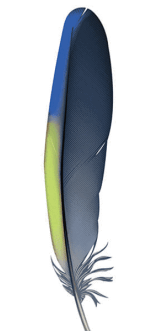 08003f3f-962a-156x331.png