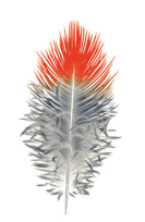 08003f3j-f6d2-133x204.png