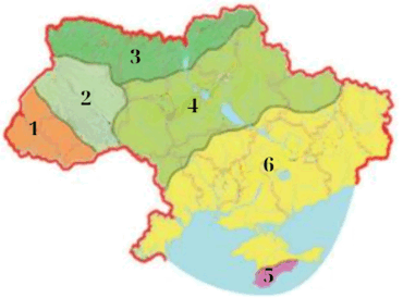 08003fd7-2051-370x274.png