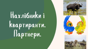 Нахлібники і квартиранти. Партнери.