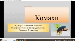 Комахи