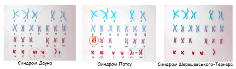 08003g8r-044b-465x136.png