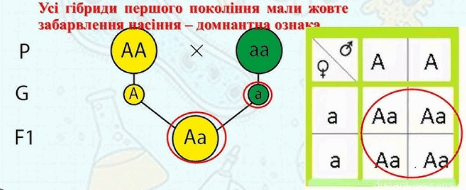 08003gp8-4364-466x190.png