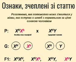 08003h3w-1da0-250x203.png