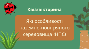 Квіз/вікторина з теми: "Які особливості наземно-повітряного середовища"