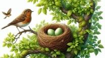 Самостійна робота "Оксана Іваненко "Цвітарінь". 5 клас