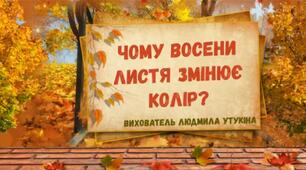 Чому восени листя змінює колір?