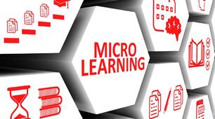 Microlearning – новий онлайн –формат підготовки до успішного складання ЗНО (НМТ ) з англійської мови