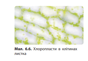 08003utt-6ac3-302x209.png