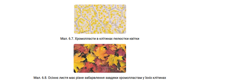 08003uu8-d297-809x281.png