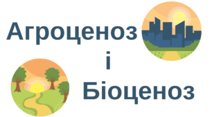 Порівняльна таблиця "Агроценоз і біоценоз"