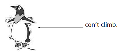 08003x1m-1796-393x179.png