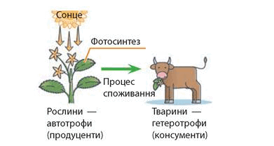 08003xj5-b7f2-391x208.png