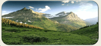 08003xmw-037f-331x153.png