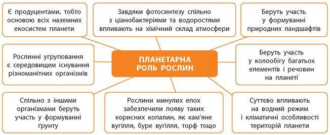 08003xr9-0dfe-652x268.jpg
