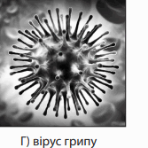 08003yjx-7691-167x167.png