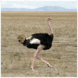 08003z7b-c1f1-110x110.png