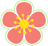 08003zlk-1ad9-70x68.png