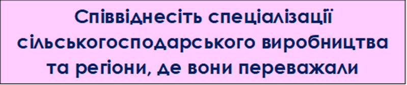 08004007-5b74-799x167.png