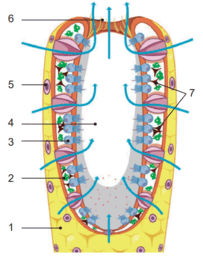 080042wn-bfbe-203x262.png