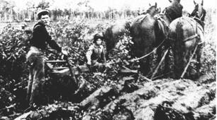 Тема 16. НМТ. Західноукраїнські землі в другій половині ХІХ ст. 