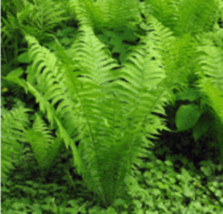 08004a48-3a57-205x197.png