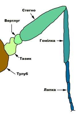 08004alt-f777-272x397.png