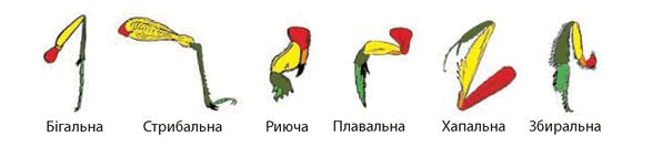 08004b0y-84c0-587x133.png