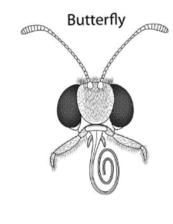 08004bn9-4c59-173x224.png