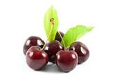How to Get Kids to Eat Cherries - Picky Eater's Guide