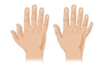 08004d3u-8633-202x133.png