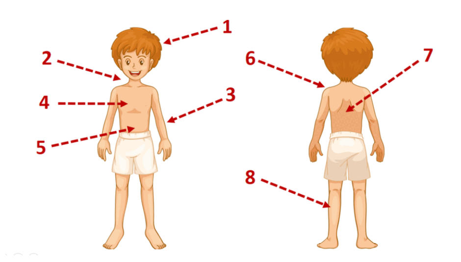 08004f4a-274d-940x535.png