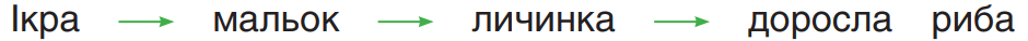 08004j32-8d3e-940x38.png