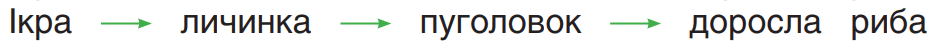 08004j3a-3565-938x47.png