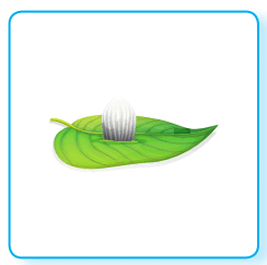 08004j9d-0e5e-244x242.png