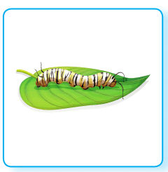 08004j9p-942e-240x245.png